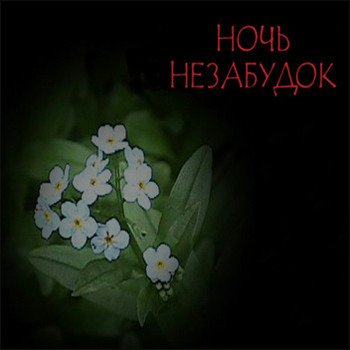 Ночь незабудок