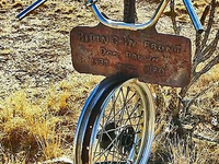 Необычный могильный памятник (145)