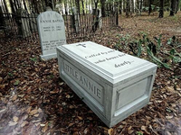 Необычный могильный памятник (132)