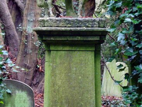 Необычный могильный памятник (217)