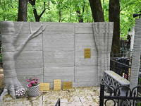 Необычный могильный памятник (232)