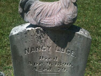 Необычный могильный памятник (170)