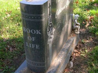 Необычный могильный памятник (215)