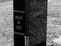 Необычный могильный памятник (242)