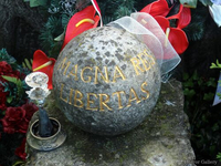 Необычный могильный памятник (211)