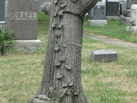 Необычный могильный памятник (169)