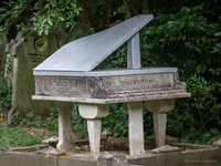 Необычный могильный памятник (219)