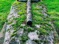 Необычный могильный памятник (149)