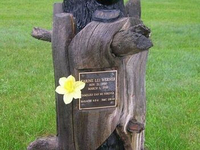 Необычный могильный памятник (207)