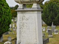 Необычный могильный памятник (175)