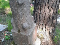 Необычный могильный памятник (230)