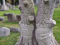 Необычный могильный памятник (113)