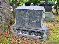 Необычный могильный памятник (159)