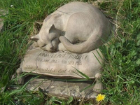 Необычный могильный памятник (220)