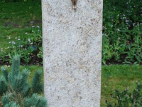 Необычный могильный памятник (178)