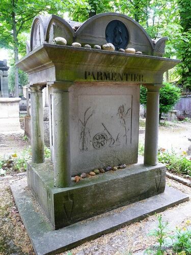 Необычный могильный памятник (206)