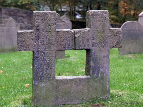 Необычный могильный памятник (186)