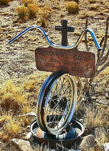 Необычный могильный памятник (145)