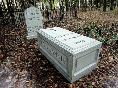 Необычный могильный памятник (132)