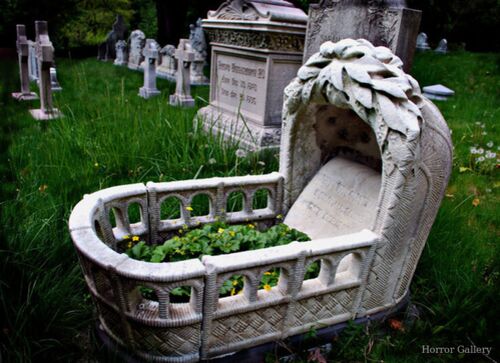 Необычный могильный памятник (216)