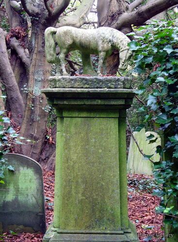 Необычный могильный памятник (217)