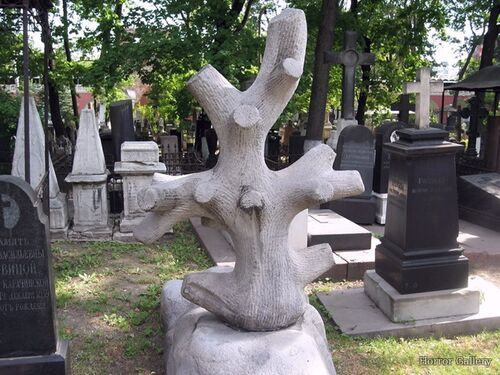 Необычный могильный памятник (99)