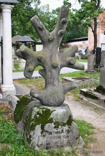 Необычный могильный памятник (174)