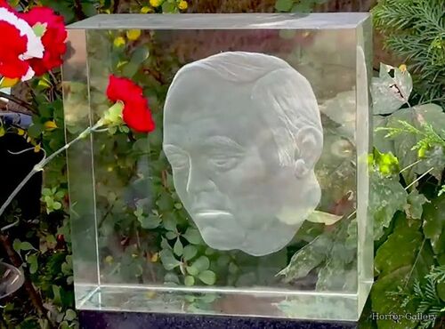 Необычный могильный памятник (238)