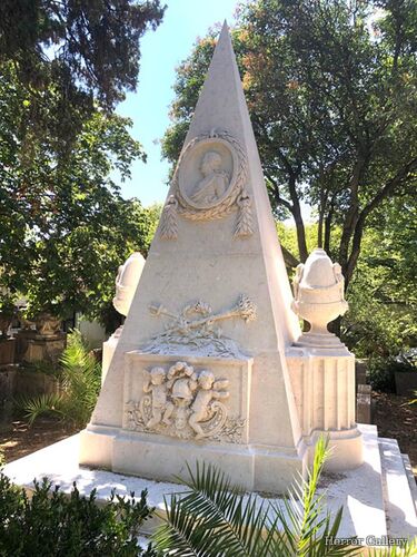 Необычный могильный памятник (208)