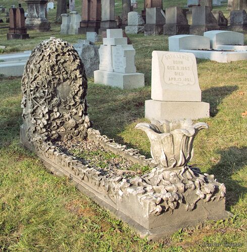 Необычный могильный памятник (195)