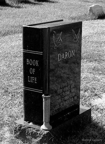 Необычный могильный памятник (242)