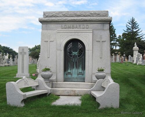 Необычный могильный памятник (228)