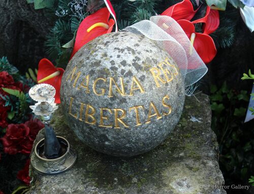 Необычный могильный памятник (211)