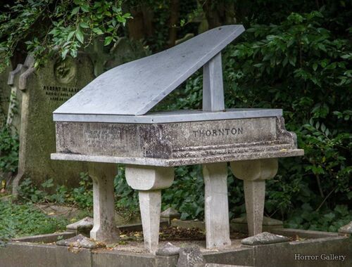 Необычный могильный памятник (219)