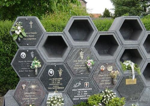 Необычный могильный памятник (237)