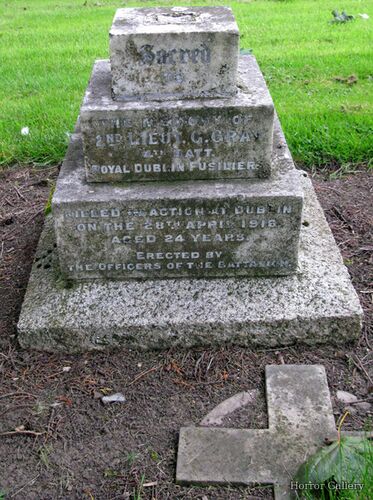 Необычный могильный памятник (248)