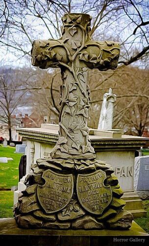 Необычный могильный памятник (205)