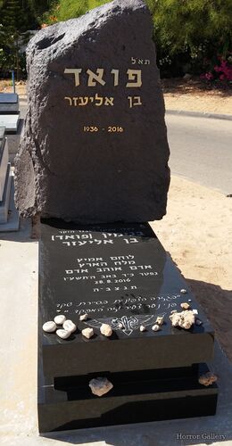 Необычный могильный памятник (185)