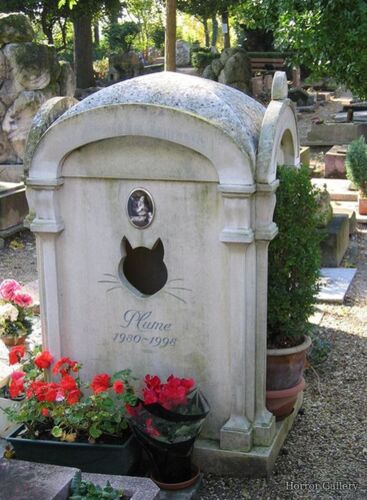 Необычный могильный памятник (224)