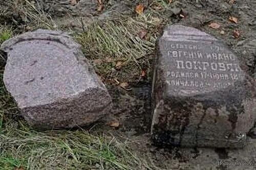 Необычный могильный памятник (260)