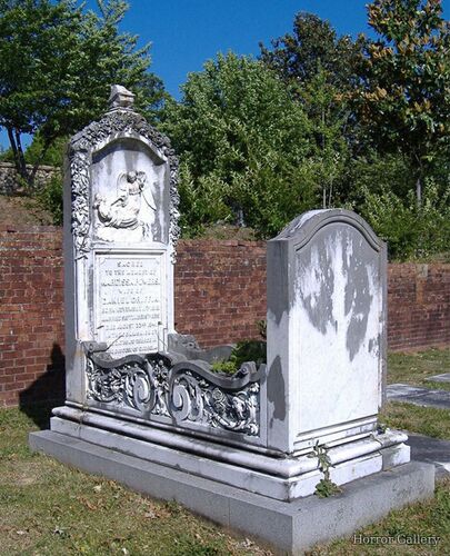 Необычный могильный памятник (249)