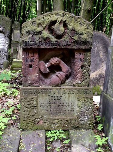 Необычный могильный памятник (152)