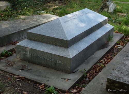 Необычный могильный памятник (192)