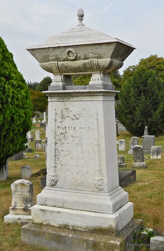 Необычный могильный памятник (175)