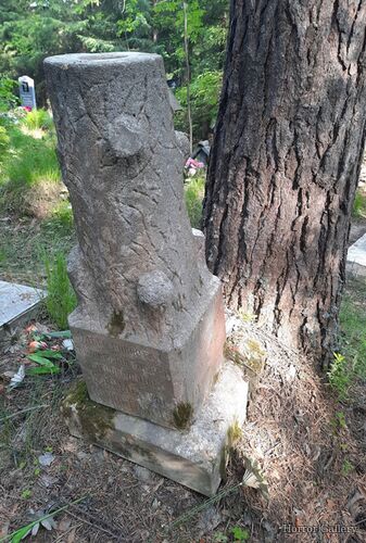 Необычный могильный памятник (230)