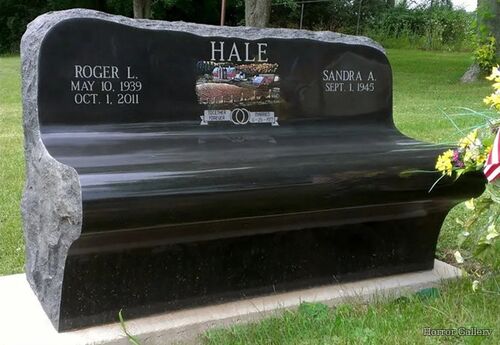 Необычный могильный памятник (150)