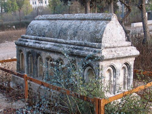 Необычный могильный памятник (264)