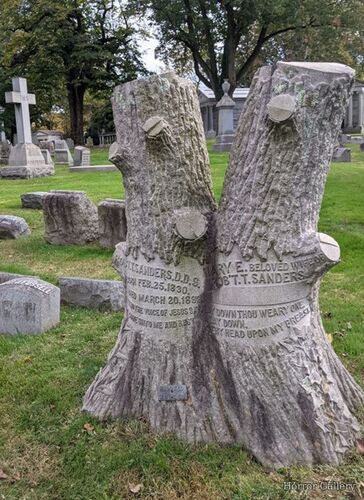 Необычный могильный памятник (113)