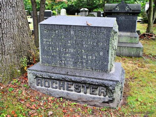 Необычный могильный памятник (159)