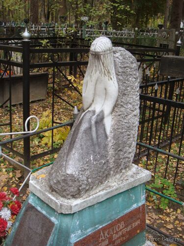 Необычный могильный памятник (148)